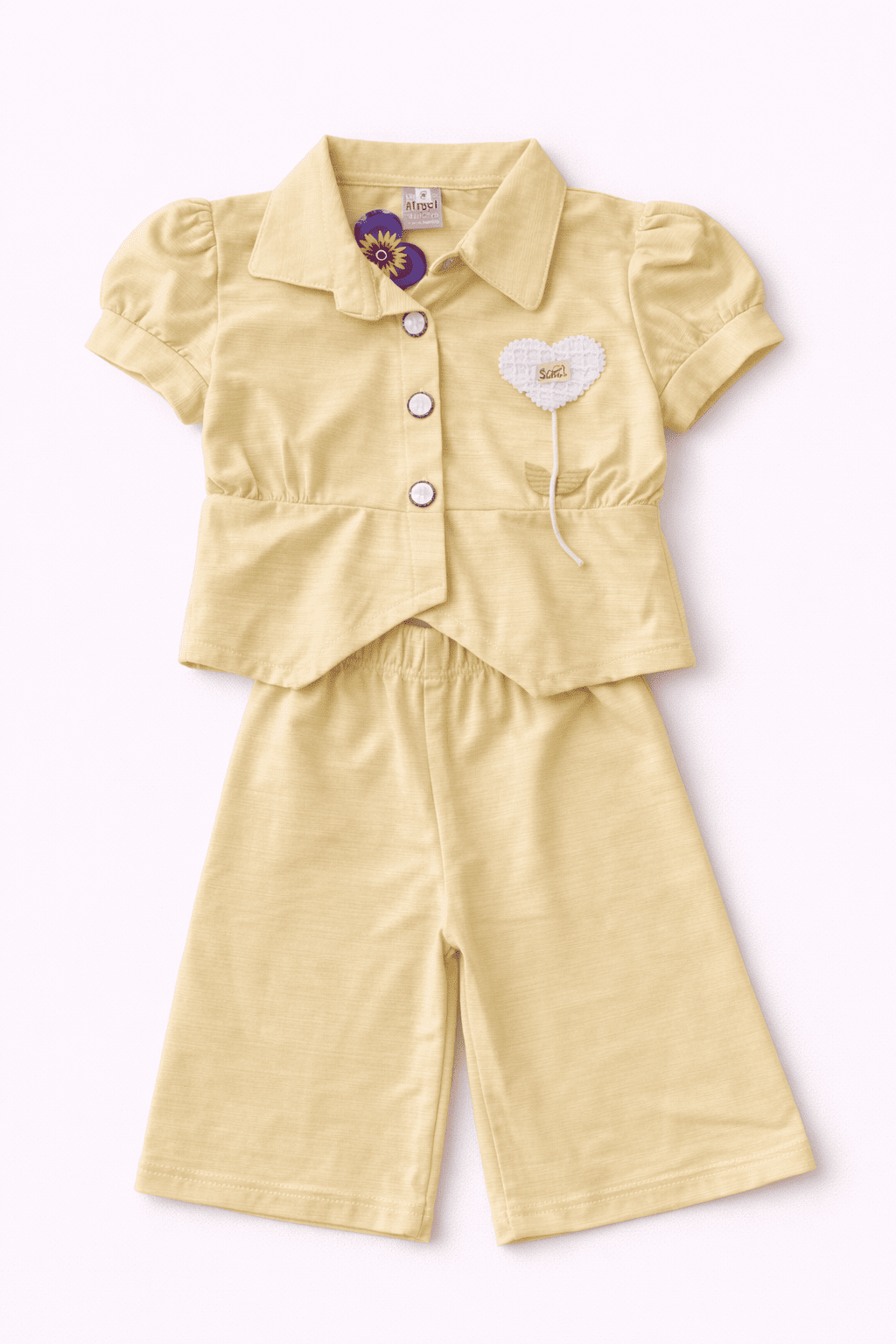 2 Piece Fancy Suit For Girls